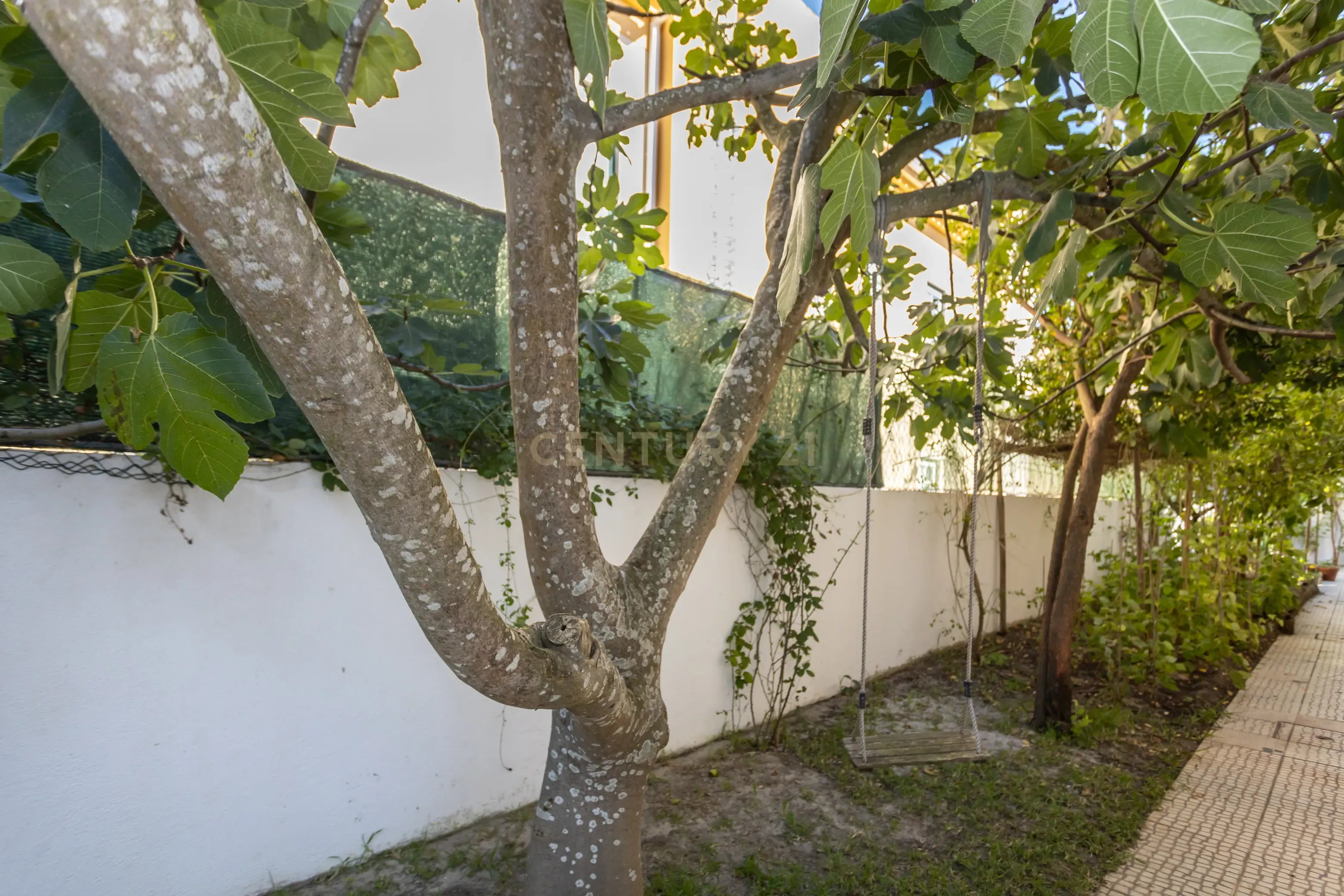 Moradia T4 Isolada em Fernão Ferro (Redondos). - Image 13