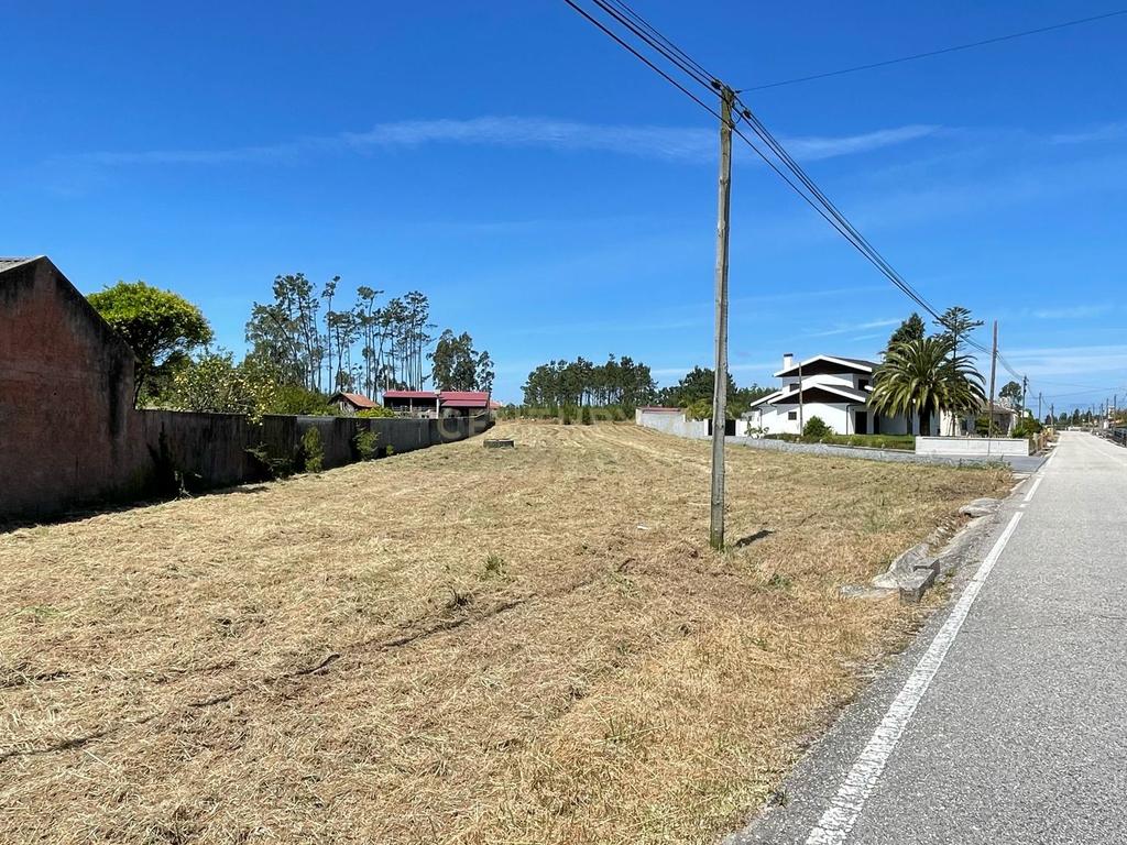 Terreno  para construção -Grou-Guia-Pombal - Image 4