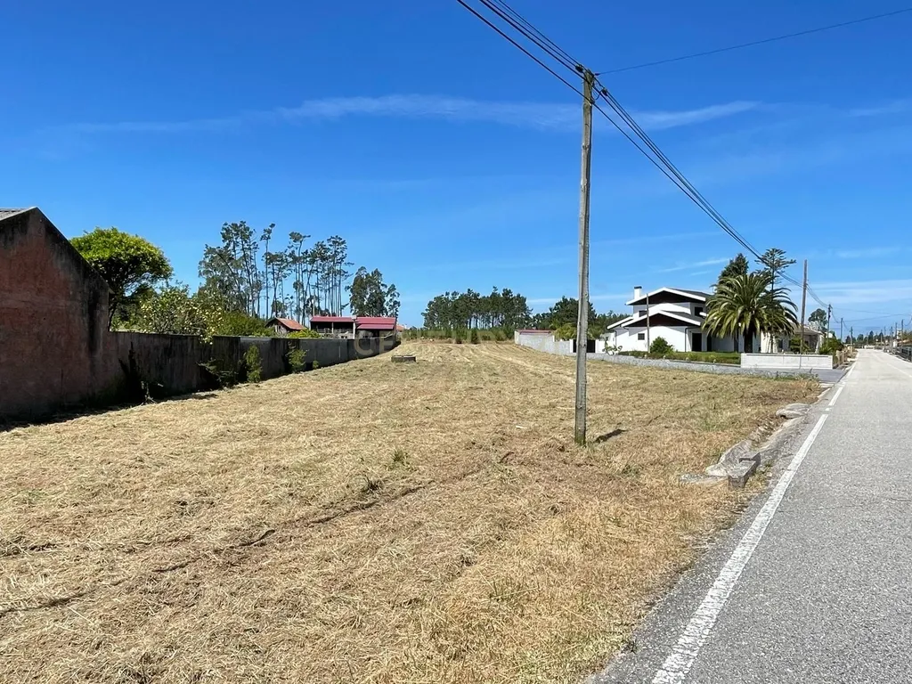 Terreno para construção -Grou-Guia-Pombal - Image 4