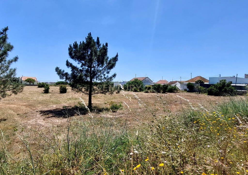 Oportunidade Única: Terreno de 11.700 m², localização central na Charneca da Caparica - Image 15