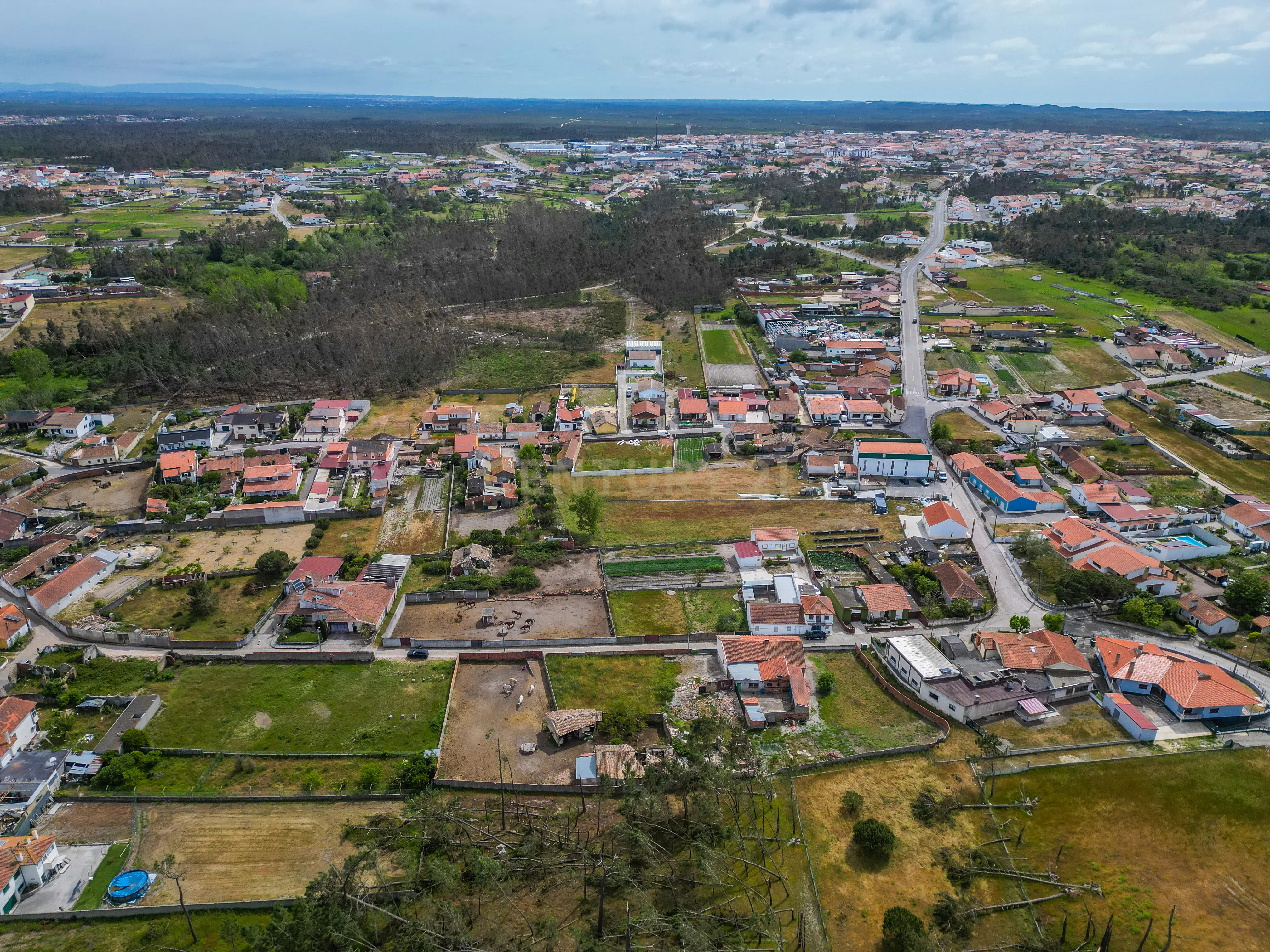Fotografia 9 de Moradia Rústica para reabilitar em Vieira de Leiria, com terreno, a cerca de 5 minutos da Praia da Vieira