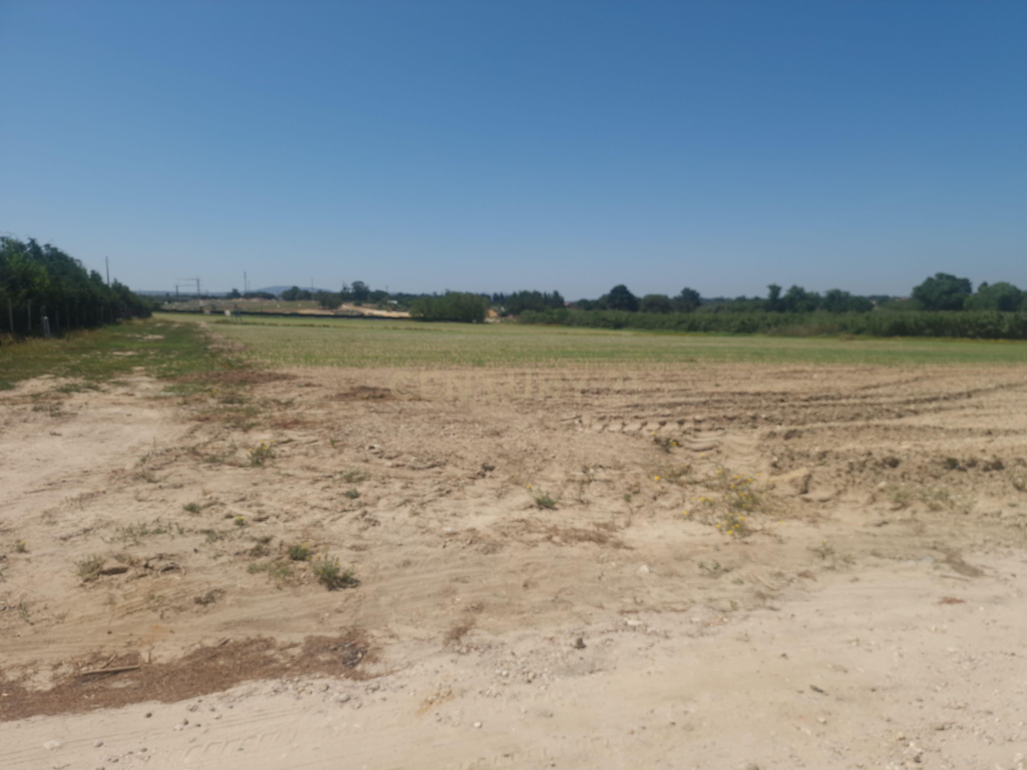 Fotografia 4 de Terreno Rústico com 24.850 m² em Pinhal Novo, Palmela