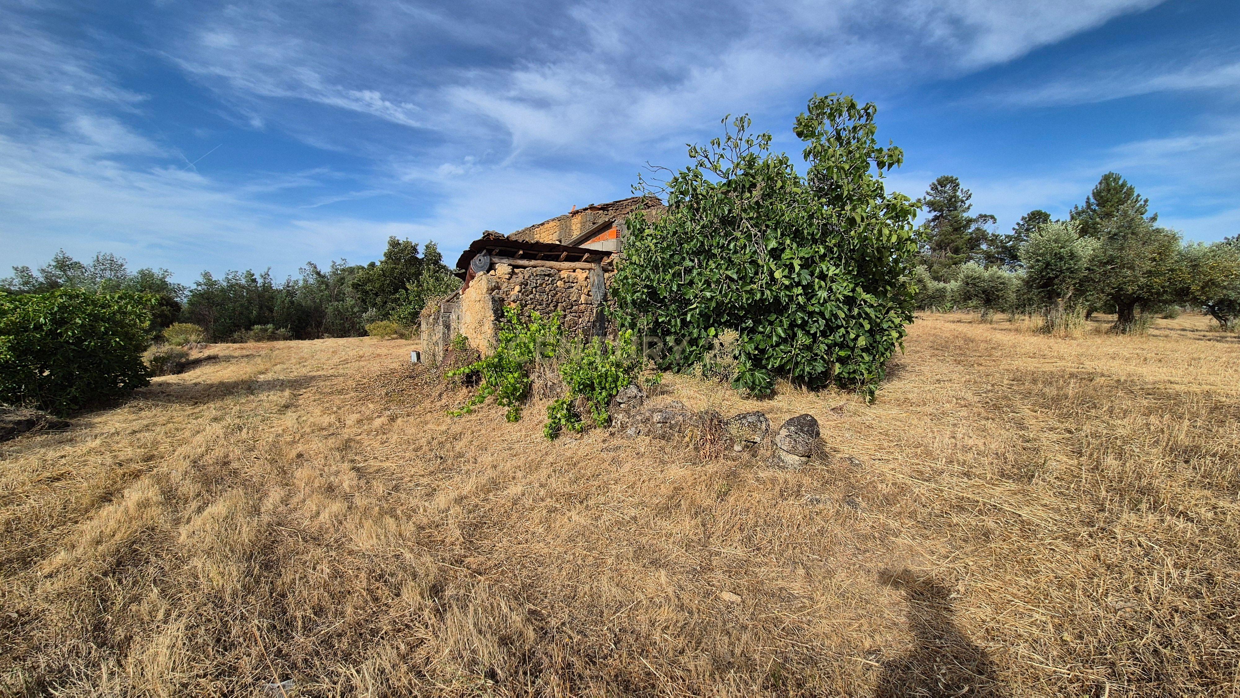 Fotografia 10 de Terreno Rústico com Ruínas e 3 poços na Lousa – Castelo Branco