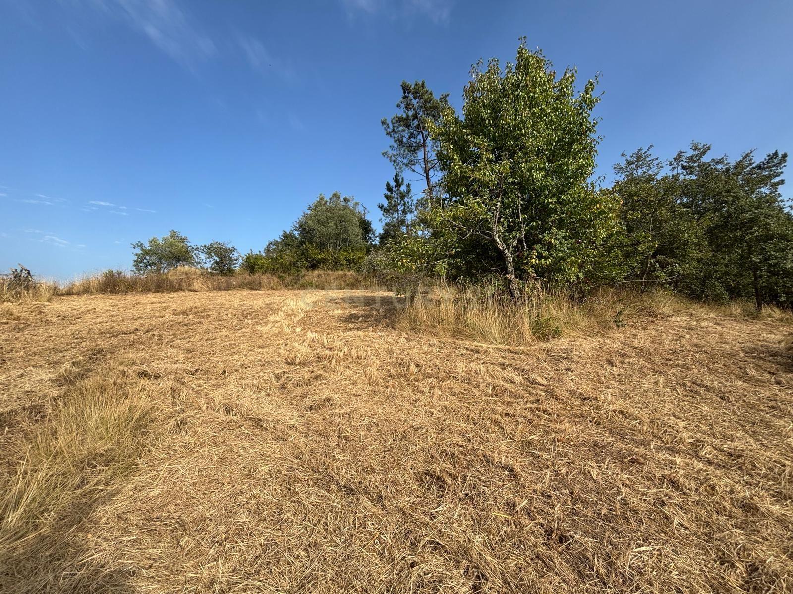 Fotografia 4 de Terreno com viabilidade construtiva em Santiago de Litém - Localização Central e Acessível