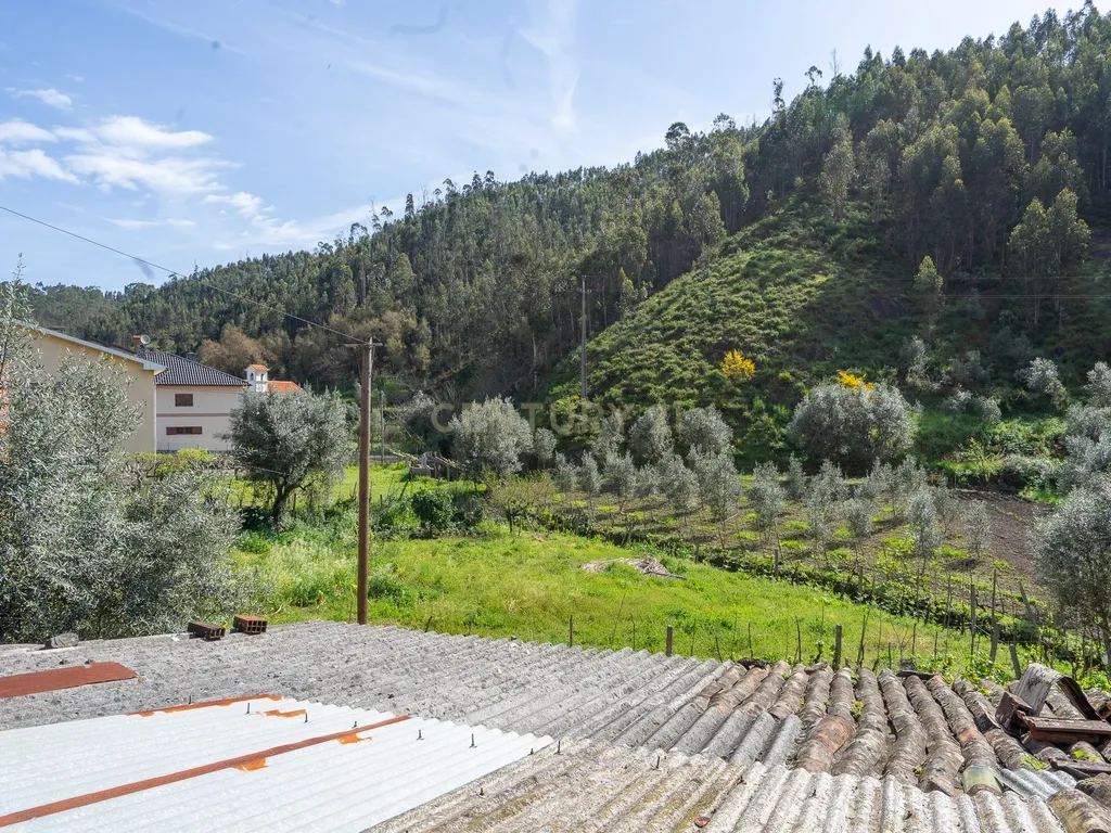 Moradias para Reconstruir em Ribas, Vila Nova de Poiares - Image 19