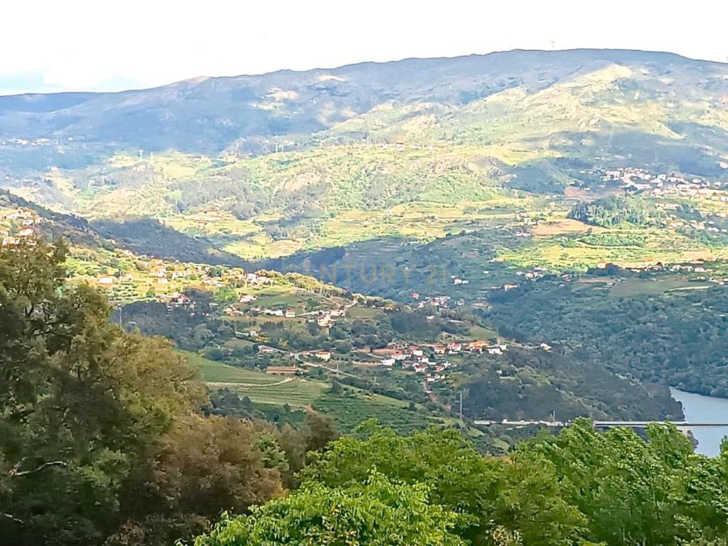 Belíssima ruína em terreno verdejante com vista deslumbrante para o Rio Douro, Baião, Porto - Image 9