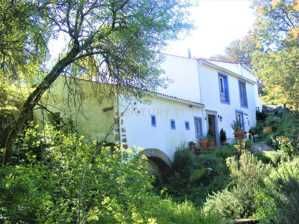 Quinta Típica Alentejana, Licença de Turismo Rural, Arrendamento, Arraiolos - Image 55