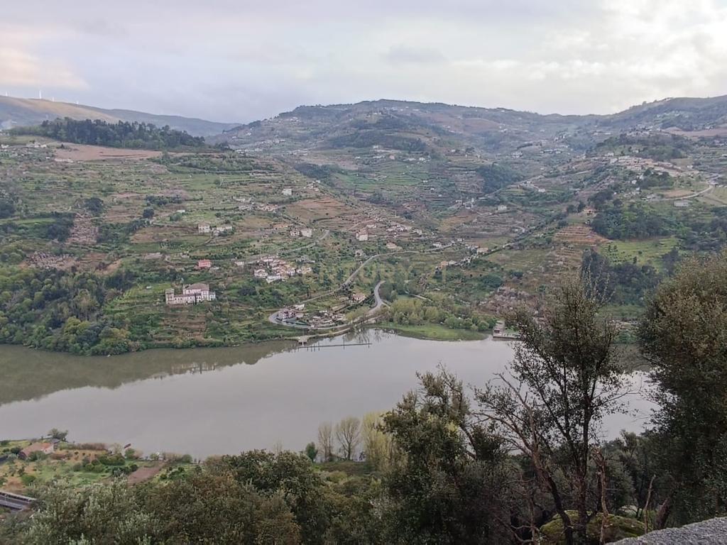 Terreno florestal com vista para a praia fluvial de Porto de Rei em Barqueiros, Mesão Frio às portas do Douro - Image 38