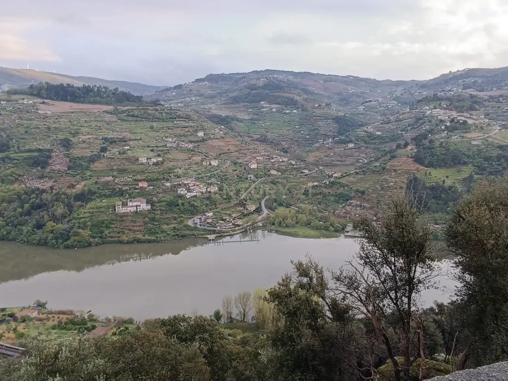 Terreno florestal com vista para a praia fluvial de Porto de Rei em Barqueiros, Mesão Frio às portas do Douro - Image 38