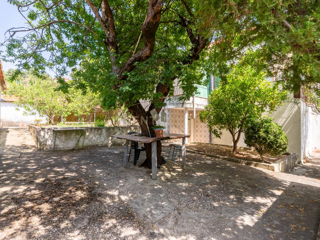 Quinta com 9320m2 em São João dos Montes (Alhandra) - Image 15