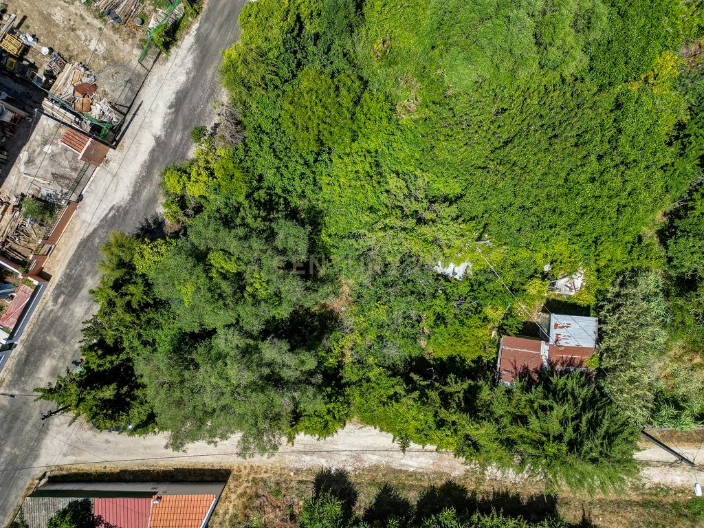 Terreno à Venda em Vale de Almornos – 1.000 m² de Natureza, Potencial e Tranquilidade! - Image 4