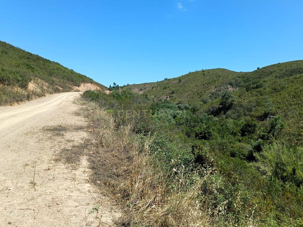 Terreno rústico de 112.000m2 em Ladeiras - S. Bartolomeu de Messines  - Silves - Image 7
