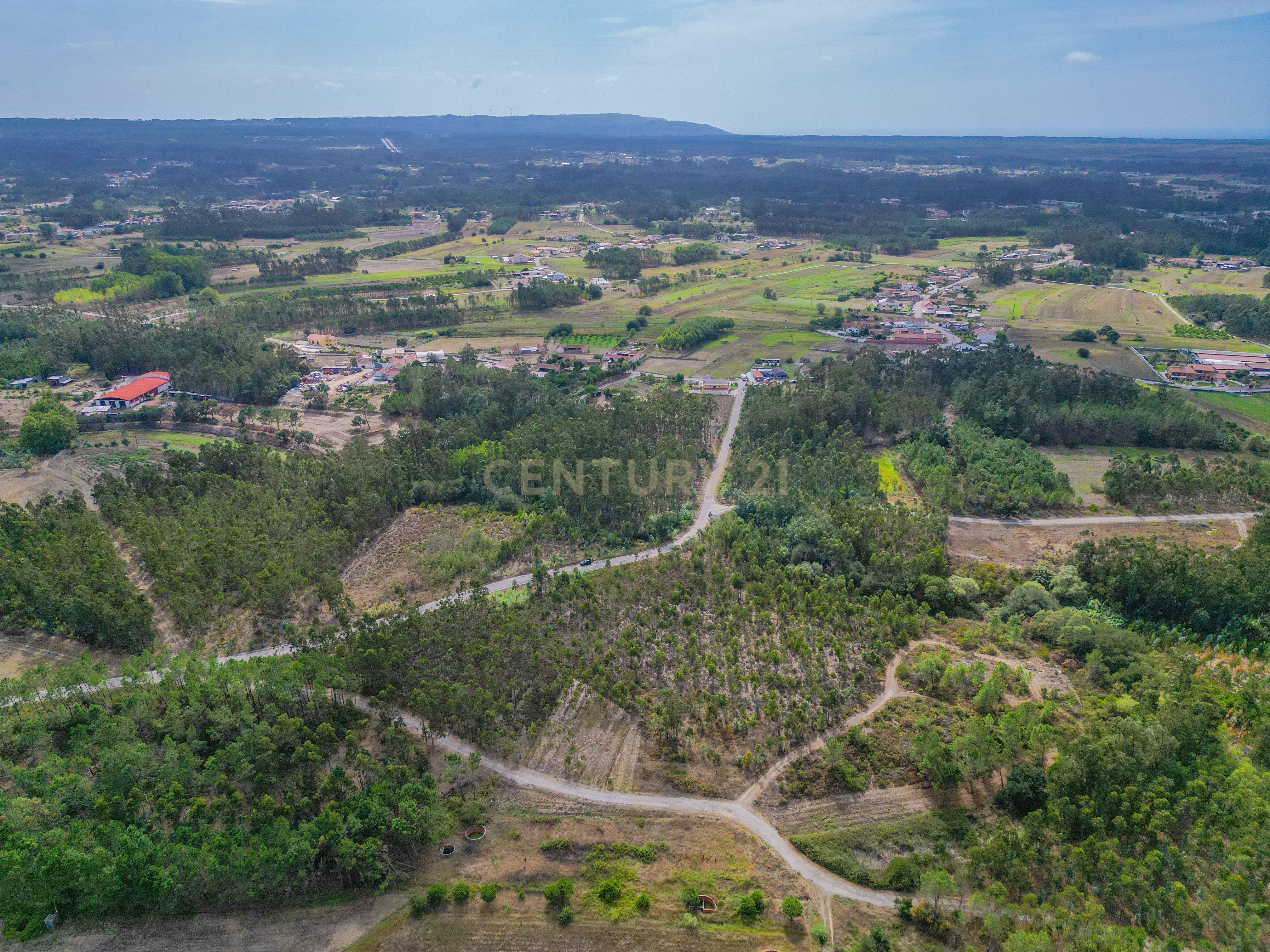 Fotografia 7 de Terreno rústico com cerca de 3.930,00 m² para venda em Lafrana de Cima – Figueira da Foz