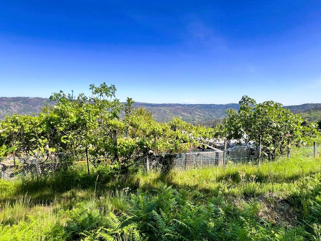 Casa isolada com vista panorâmica em São Pedro do Sul - Image 17