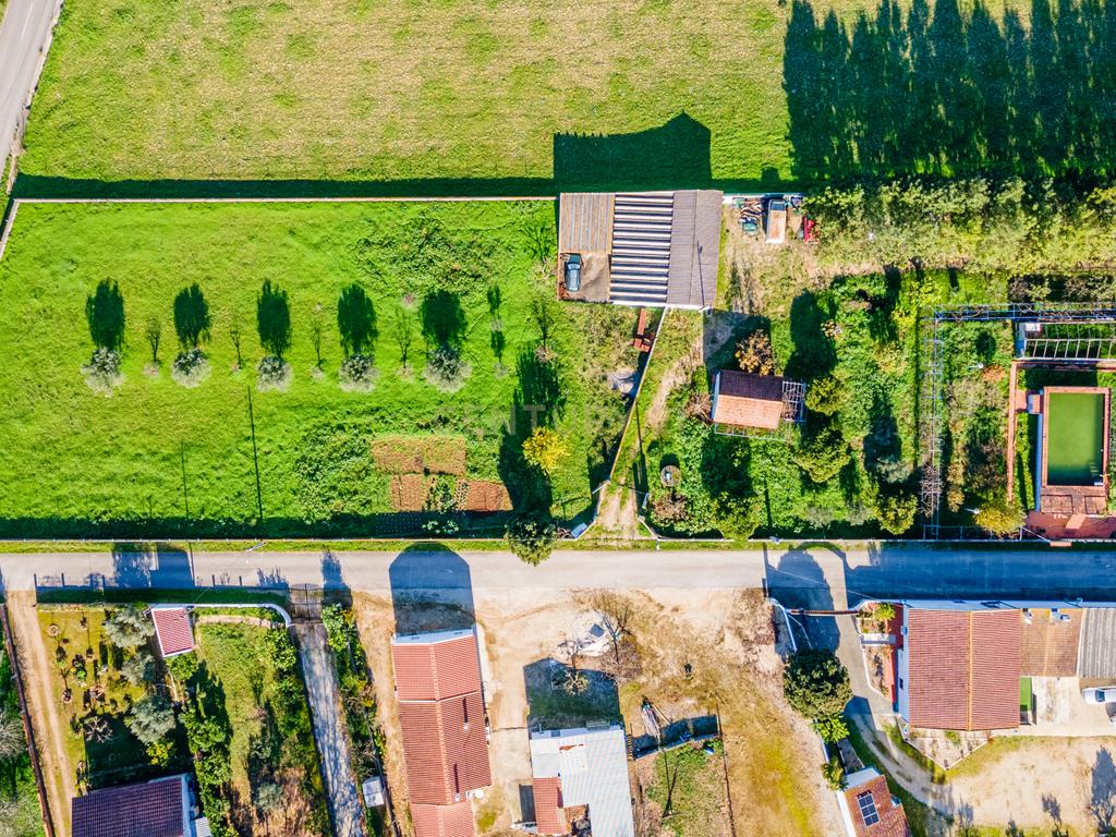 Quinta com 25.800M2 com moradia T6 em Casével, Santarém. - Image 3