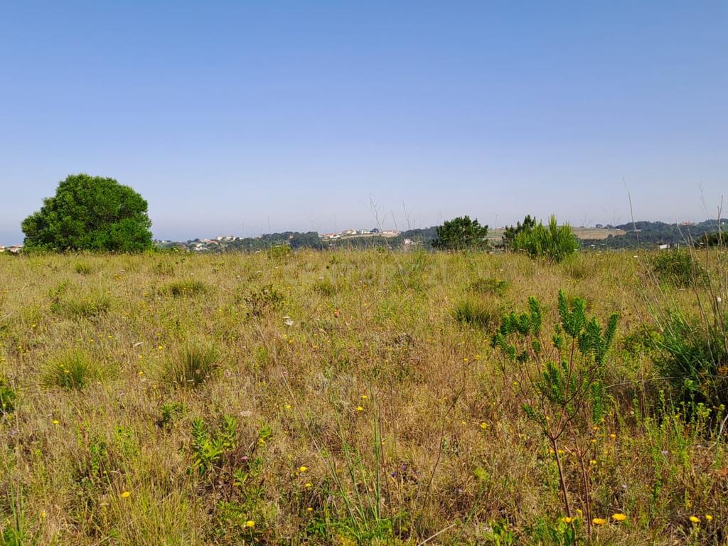 Terreno Rústico com Vista Panorâmica – Forte do Zambujal, Mafra - Image 10
