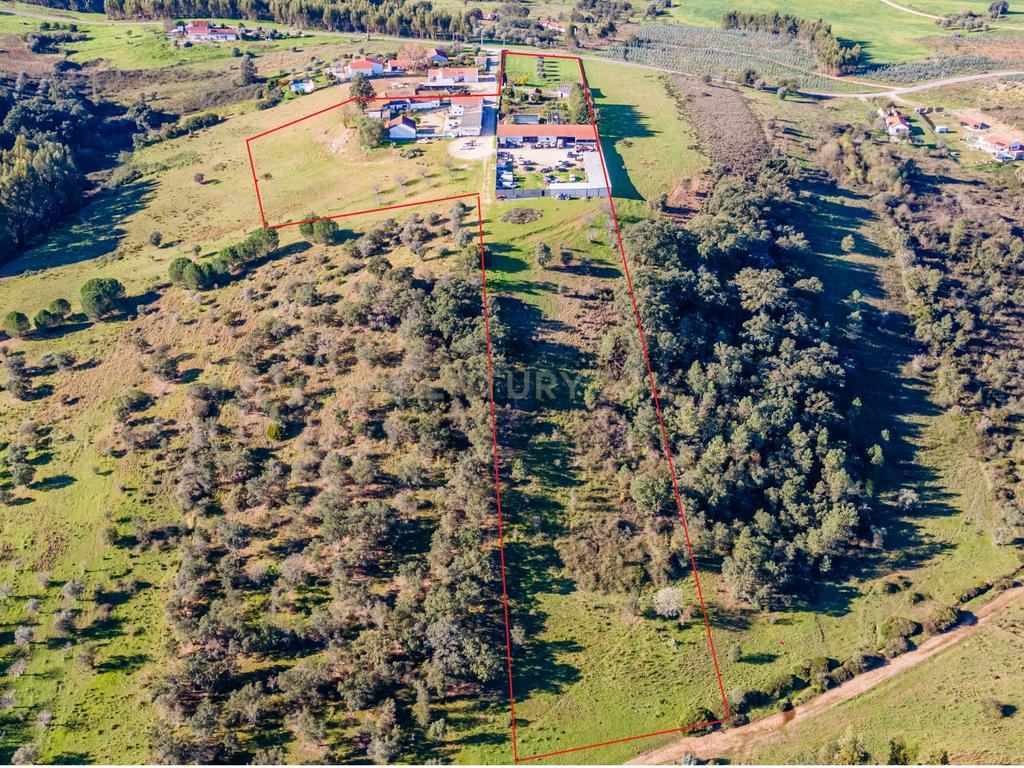 Quinta com 25.800M2 com moradia T6 em Casével, Santarém. - Image 37