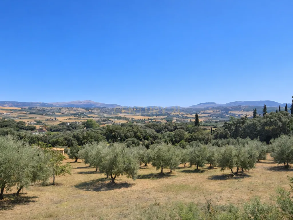 Quinta com vistas panorâmicas em Ronda, piscina privada, olival em produção e casa andaluza · Ideal para investimento em turismo rural - Image 5