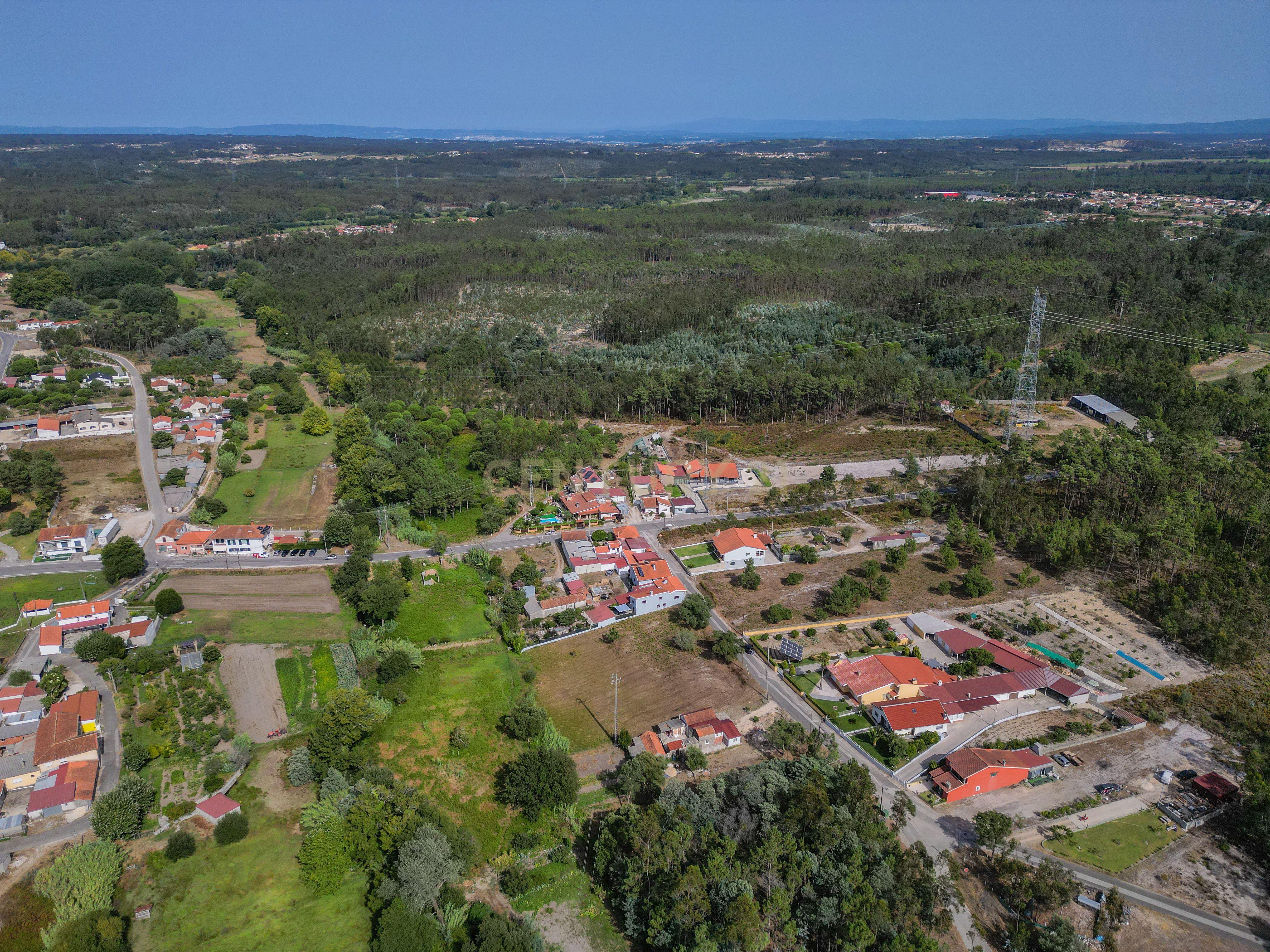 Fotografia 10 de Terreno com cerca de 2.700 m² em Casal dos Chouriços, Moinhos da Gândara, Figueira da Foz.