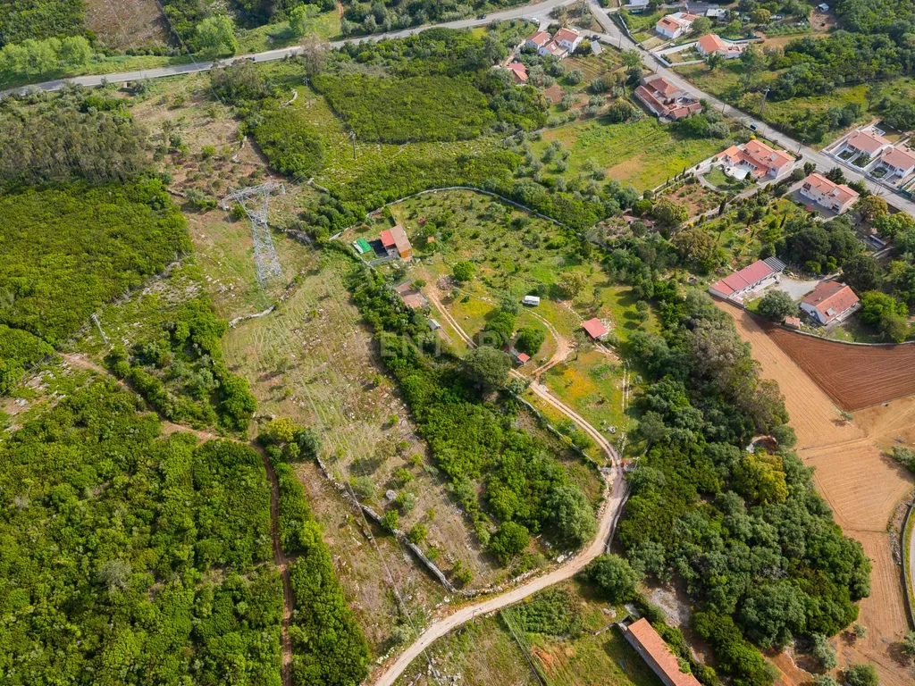 Quinta com habitação - Alcobaça - Image 9