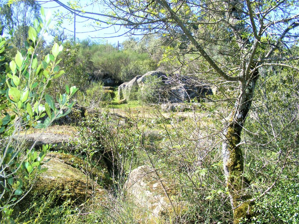 Quinta Típica Alentejana, Licença de Turismo Rural, Arrendamento, Arraiolos - Image 41