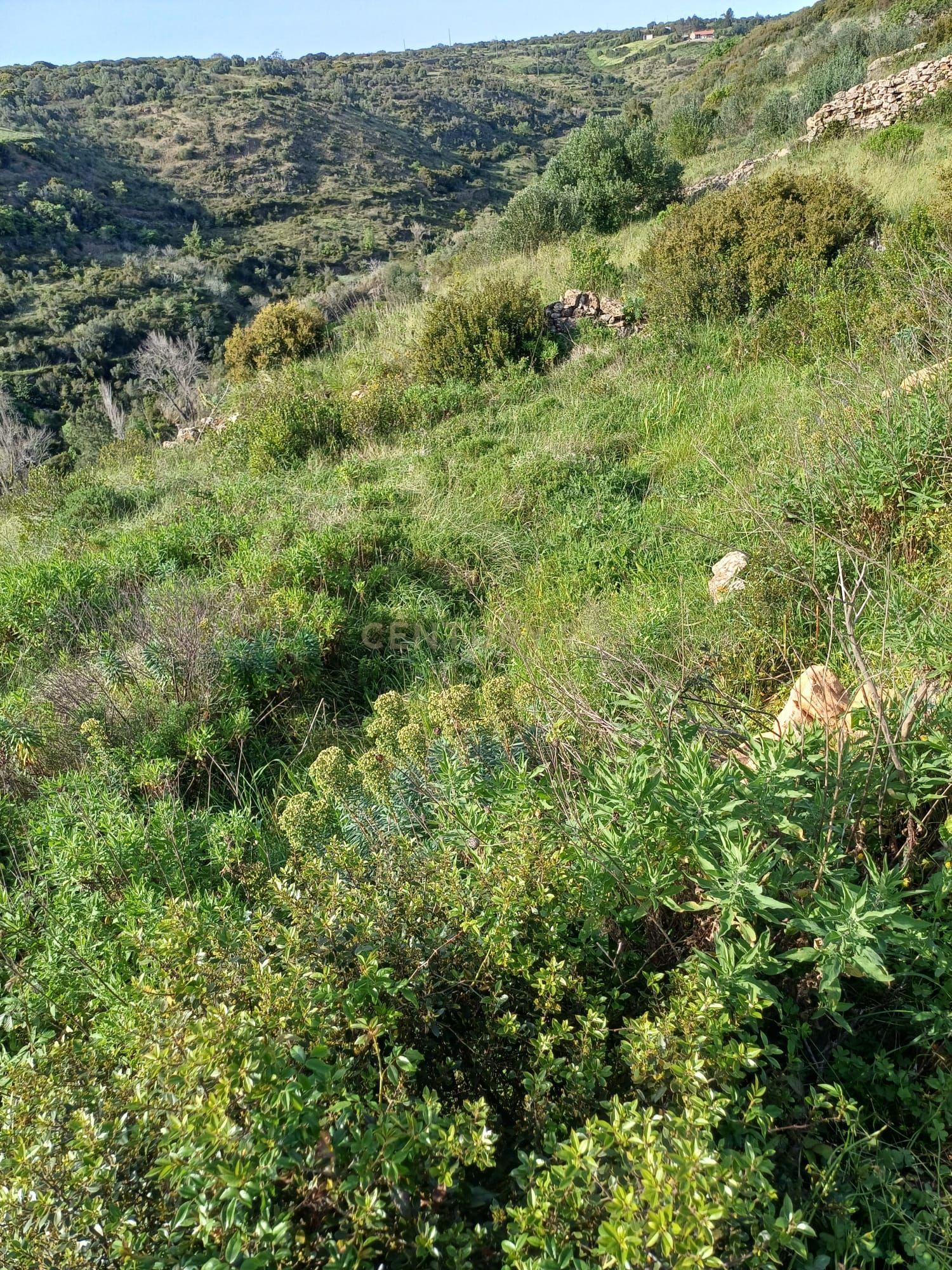 Terreno Rustico no Carvalhal Mafra com 2875m2 - Image 5