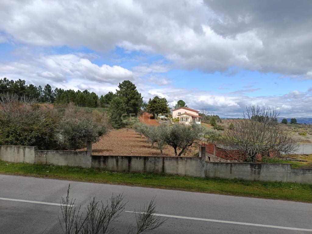Terreno para Construção em Vale de Gouvinhas - Mirandela - Image 4