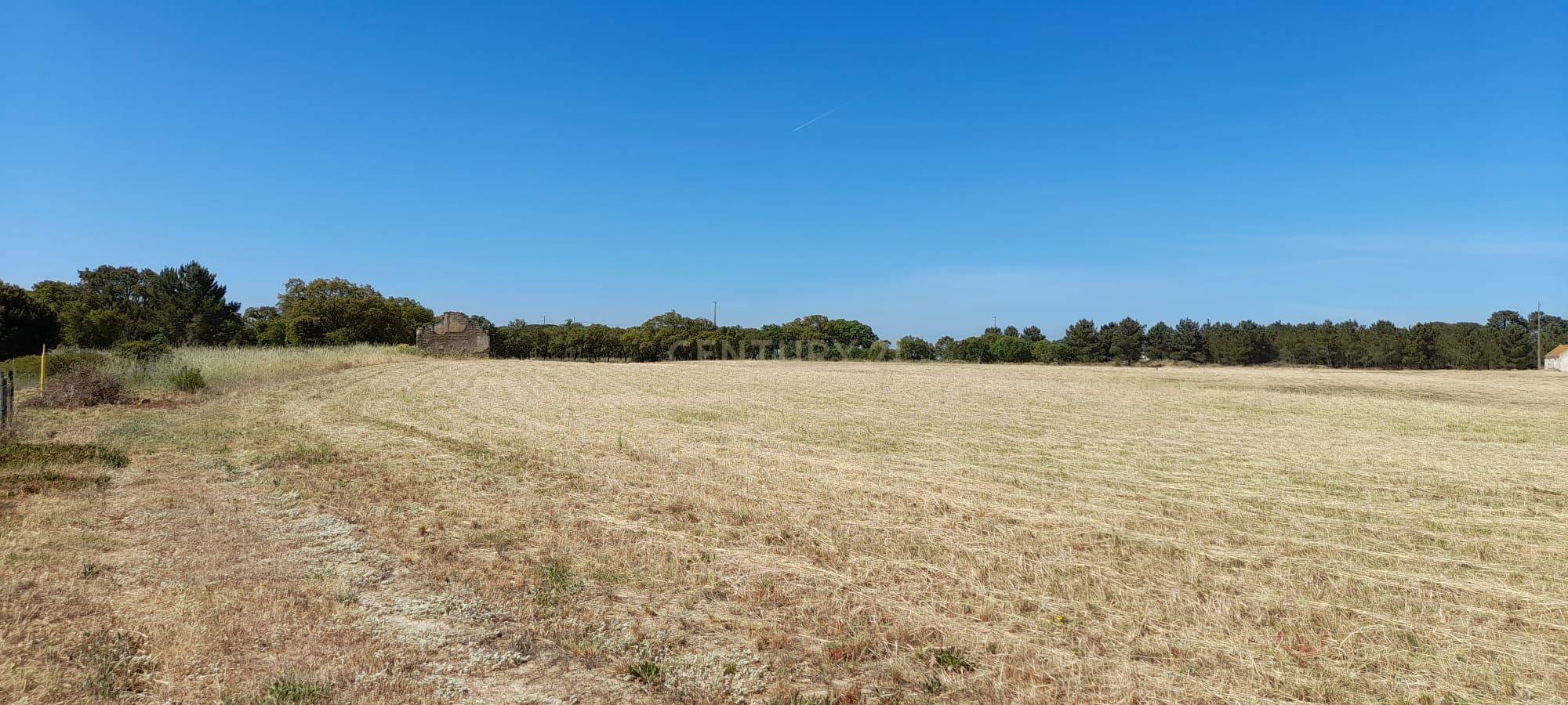 Terreno urbano com possibilidade de construção em Vale da Resina, freguesia de Alcochete - Image 11