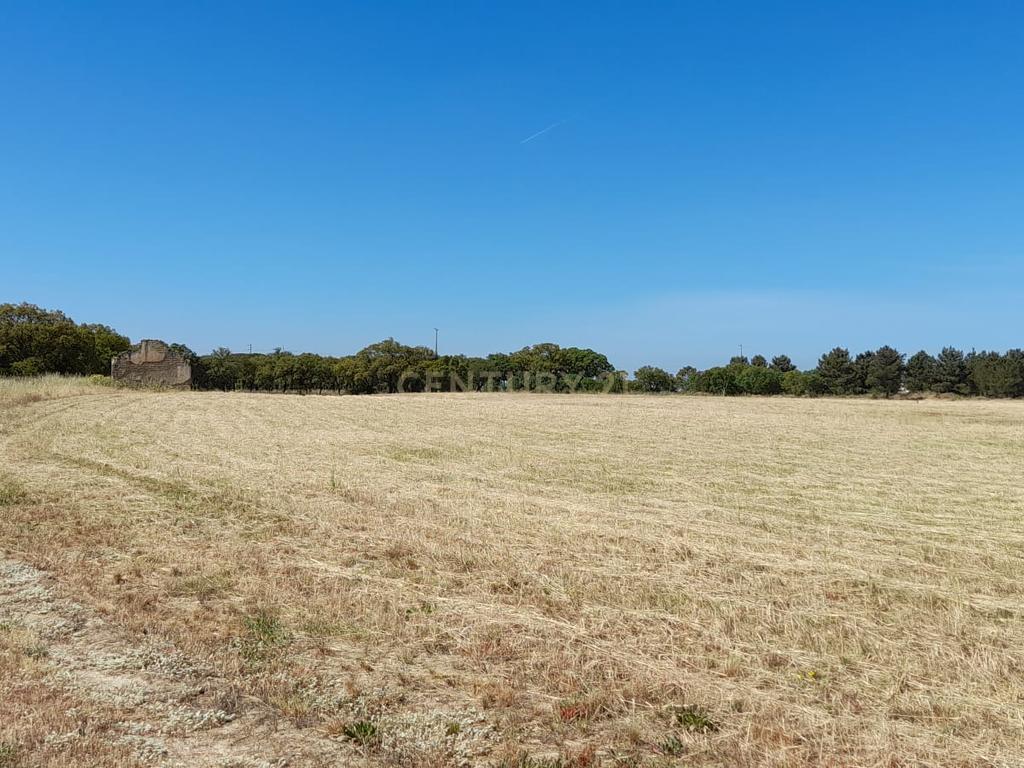 Terreno urbano com possibilidade de construção em Vale da Resina, freguesia de Alcochete - Image 11