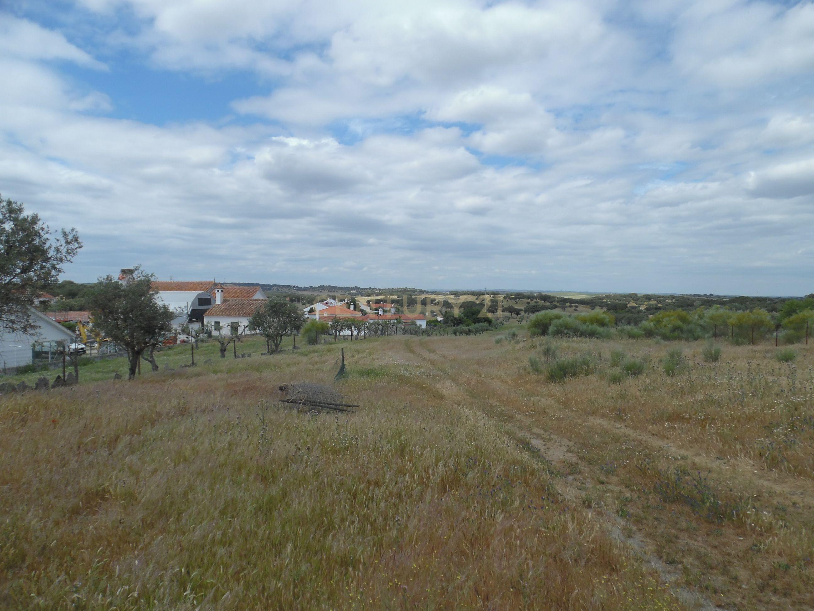 Moradia T3 à venda em Capelins (Santo António), Alandroal — foto 18