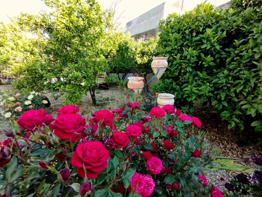 Oportunidade Única! Elegante Moradia + Apartamento T2 + Espaço + Funcionalidade = Qualidade de Vida. - Image 35