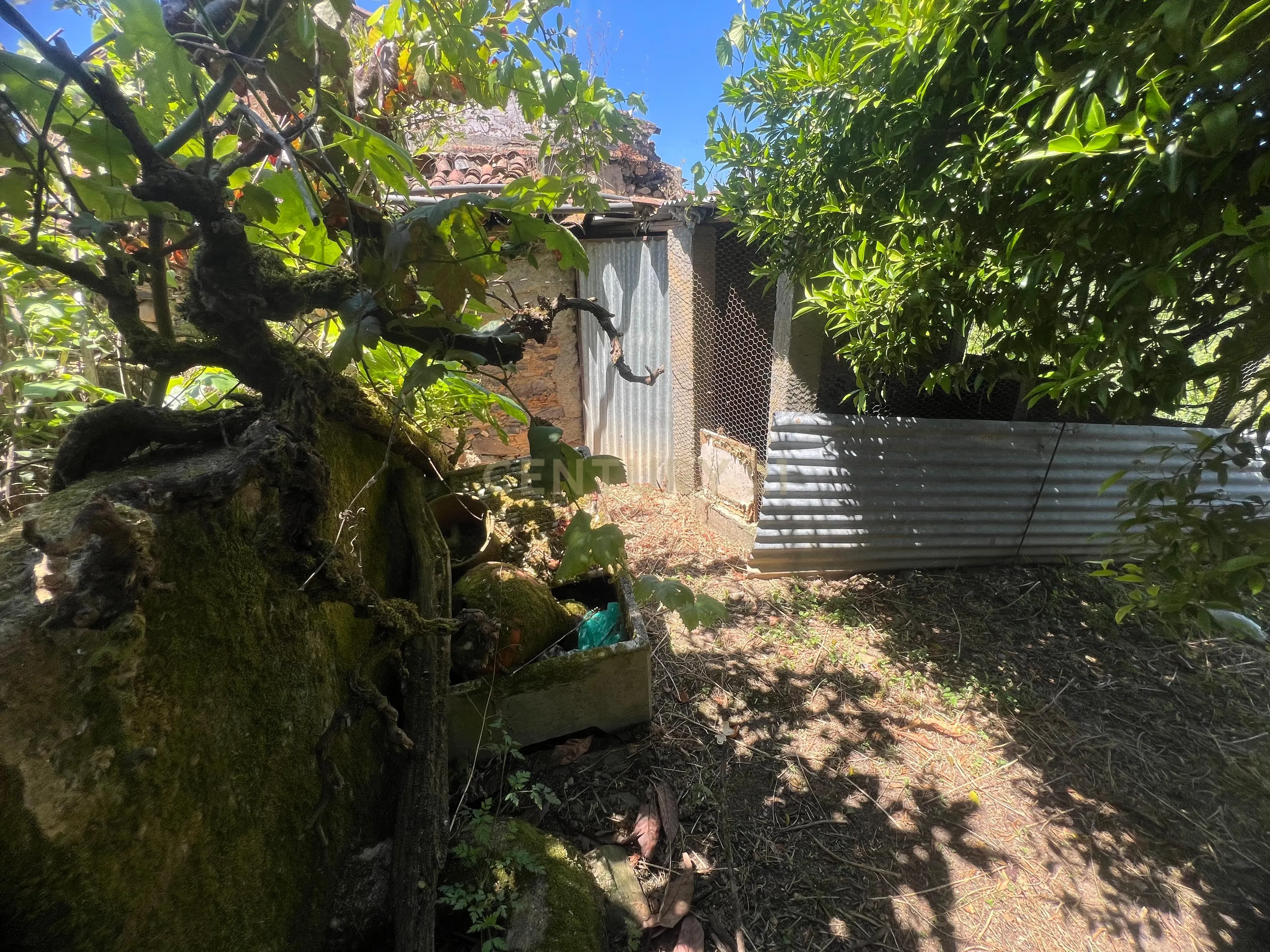 Casa para reconstrução total a 10 min da Praia Fluvial de Aldeia do Mato Abrantes - Image 20