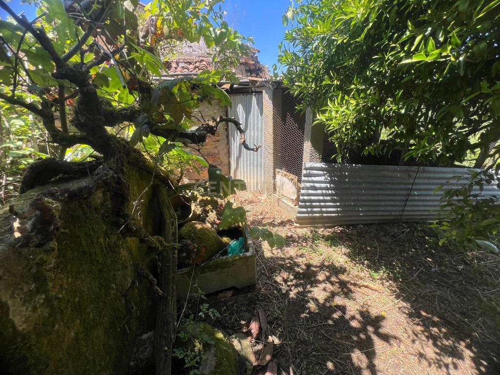 Casa para reconstrução total a 10 min da Praia Fluvial de Aldeia do Mato Abrantes - Image 20