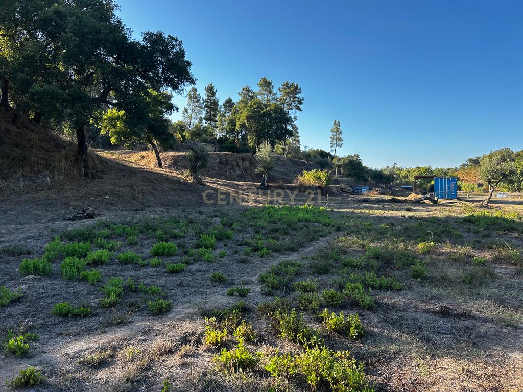 Quinta c/2,5 hectares , casa pré fabricada e ruína para reconstrução. - Image 19