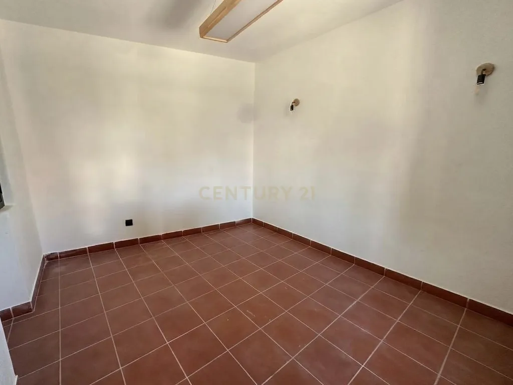 Moradia T4 + 1 Anexo c/ Piscina em Chamusca - Arripiado - Image 19