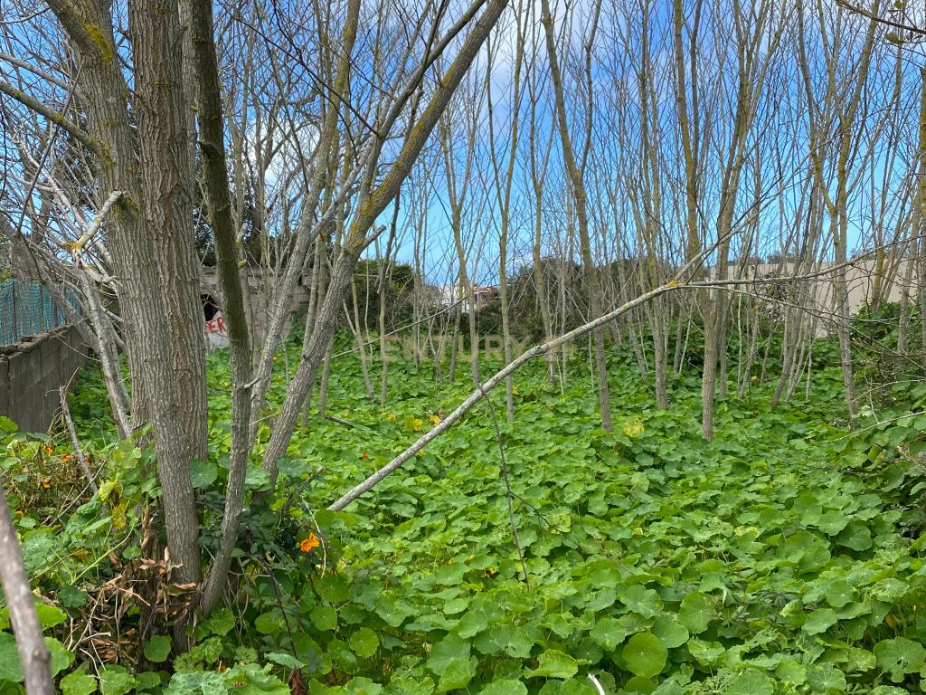 Terreno Urbano em Guamasa - Image 6