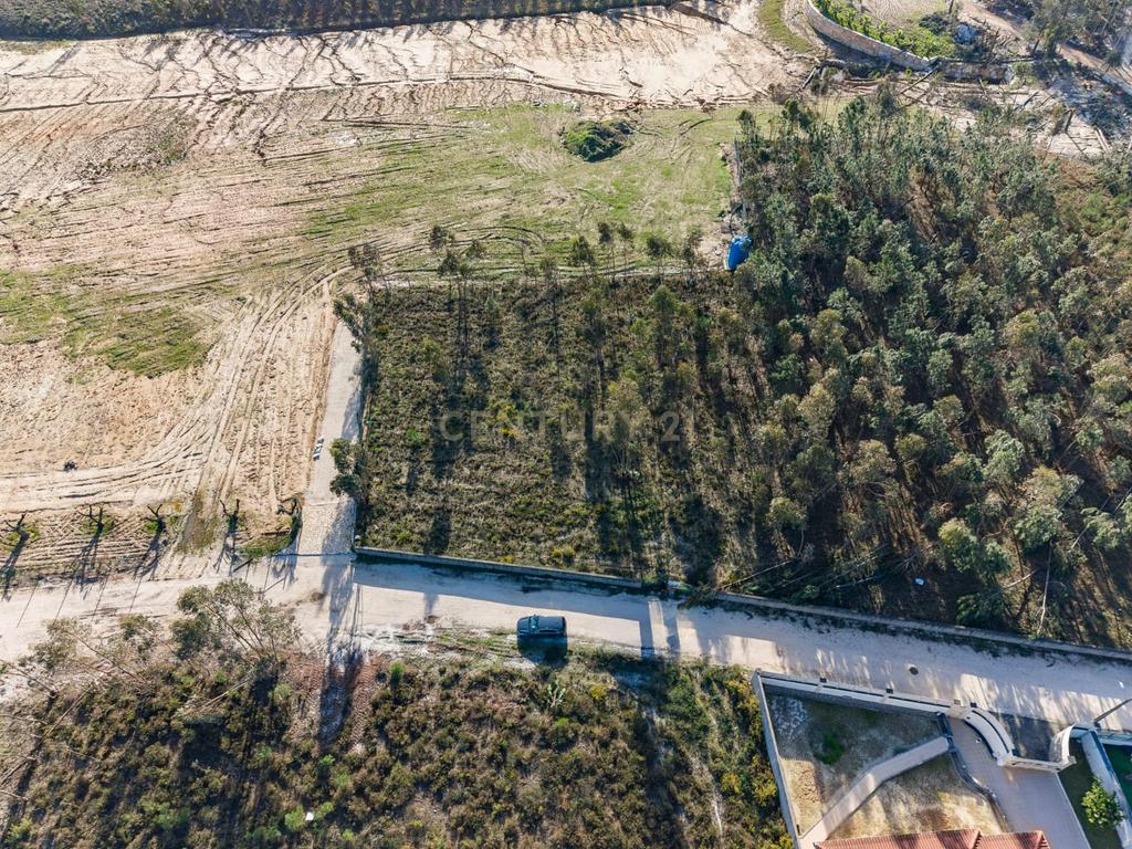 Terreno Rústico com Viabilidade de Construção — Barosa, Leiria - Image 7