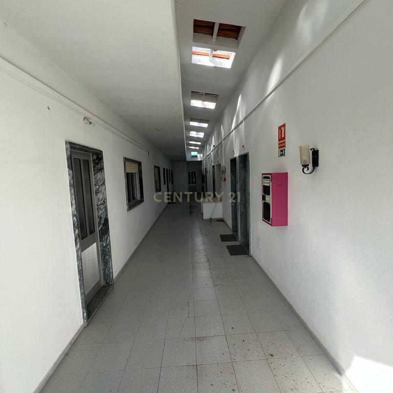 Arrendamento - Encantadora Herdade em Évora, Montemor-o-Novo — Lavre  - Image 16