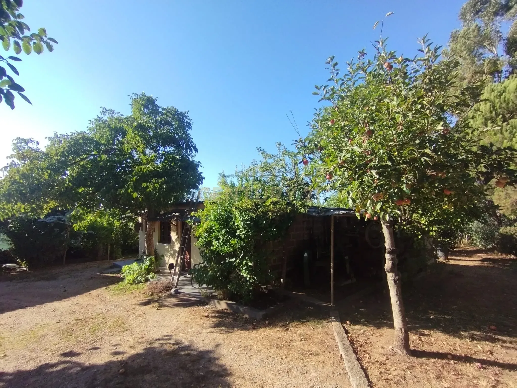 Fotografia 11 de Terreno com anexo para construção de um condomínio privado de 5 moradias unifamiliares na Várzea, Santo Tirso, Porto