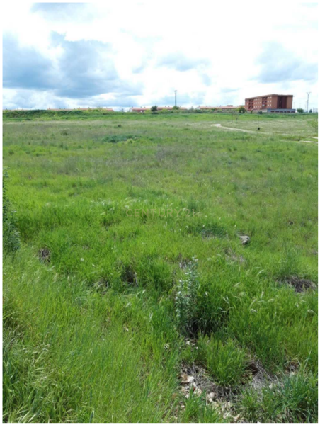 Terreno - Image 7
