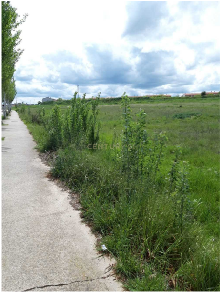 Terreno - Image 6