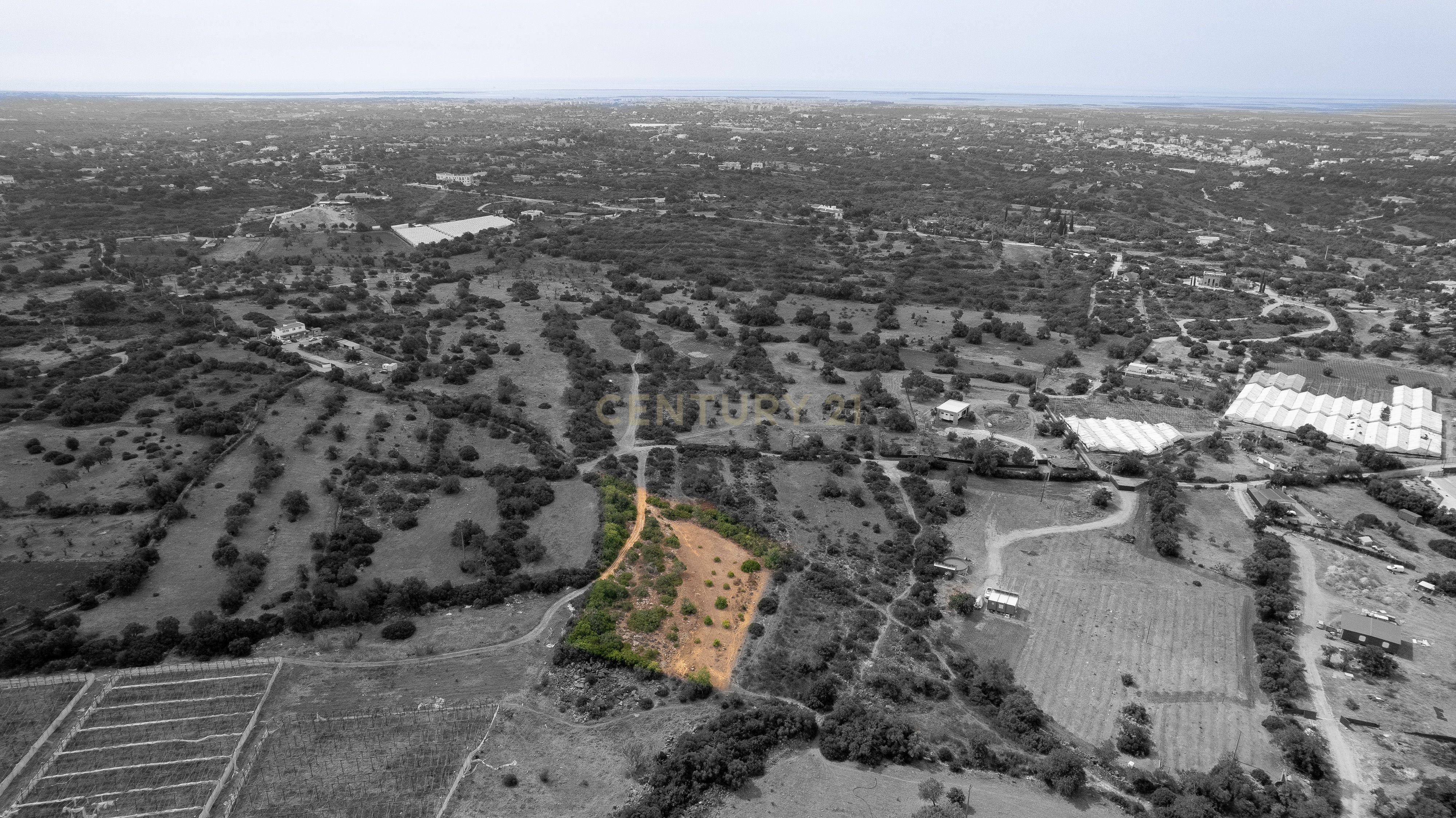 Fotografia 6 de Terreno Rústico de 3.650 m² entre Pechão e Estoi