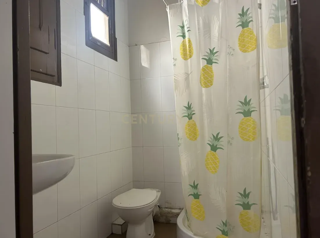 - Image 6