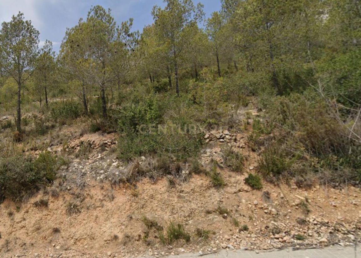 - Image 8