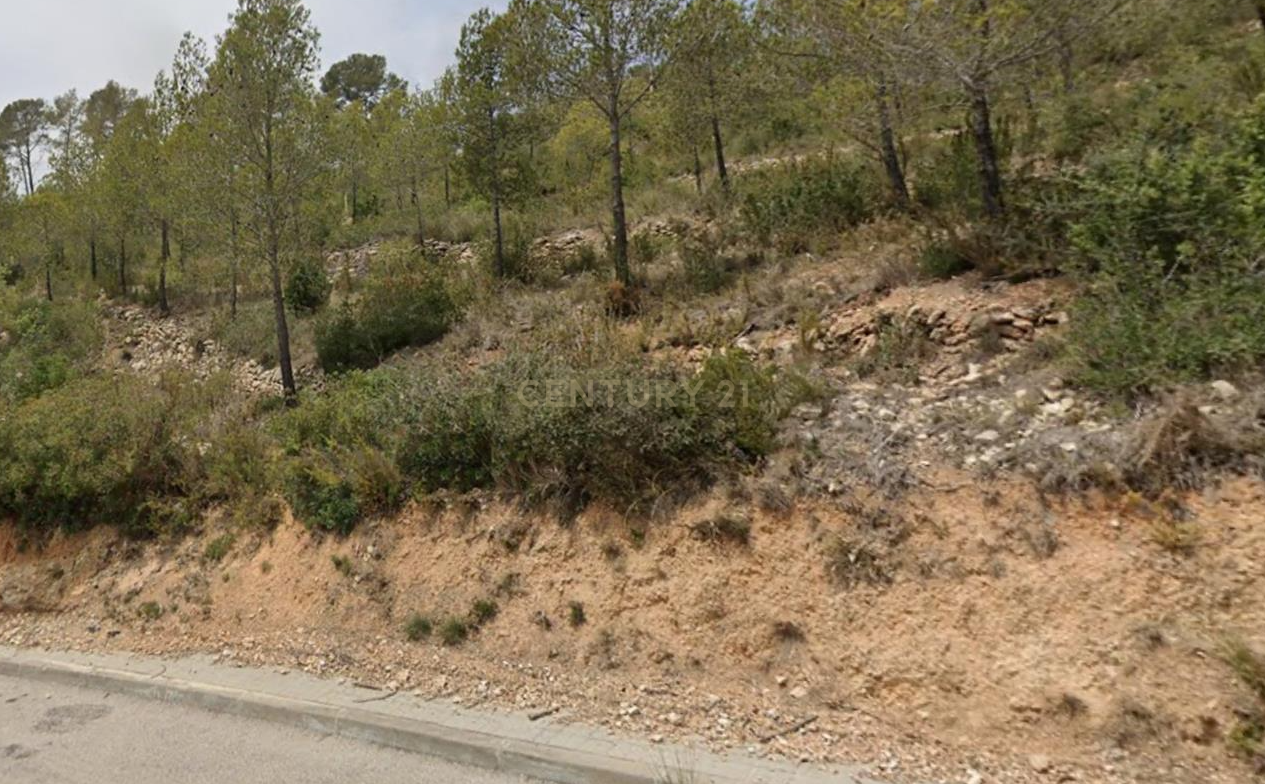 - Image 7