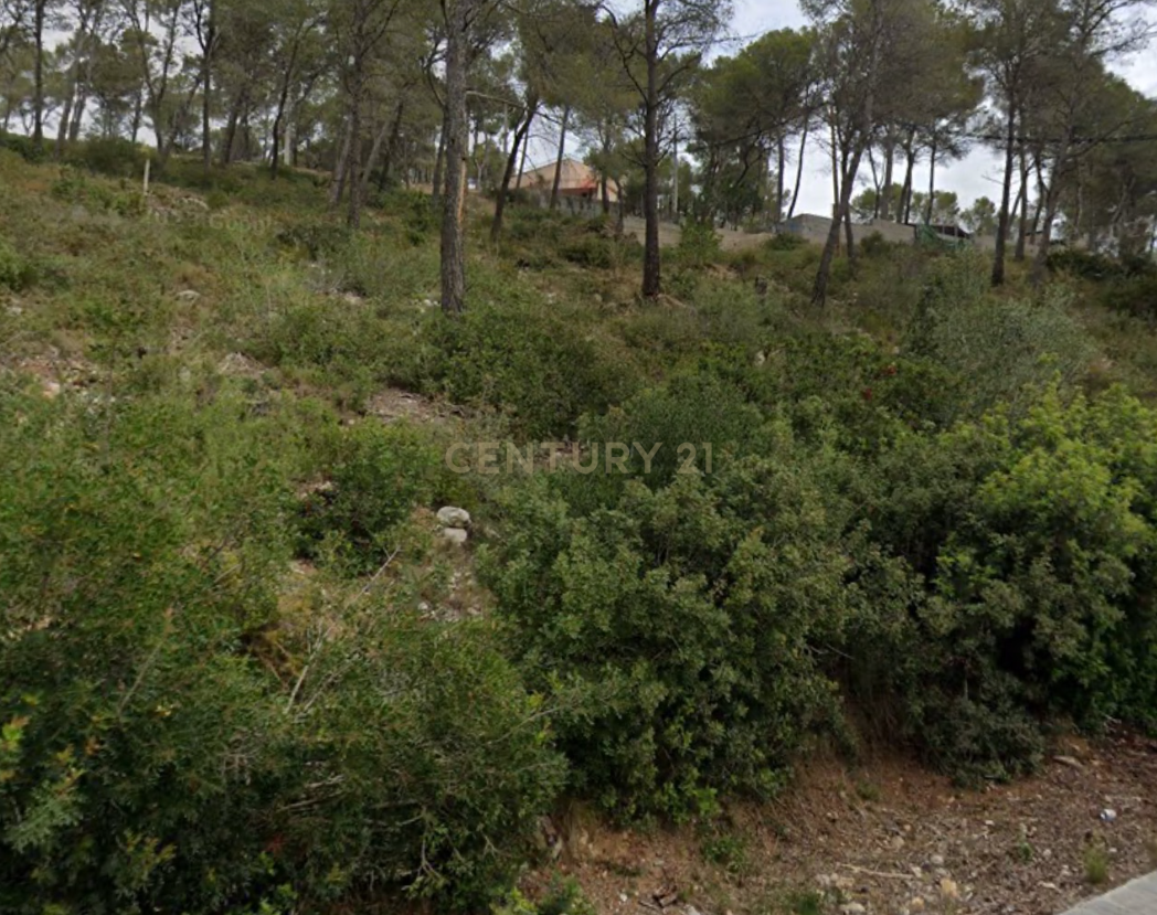 - Image 6