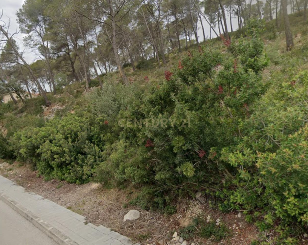 - Image 5