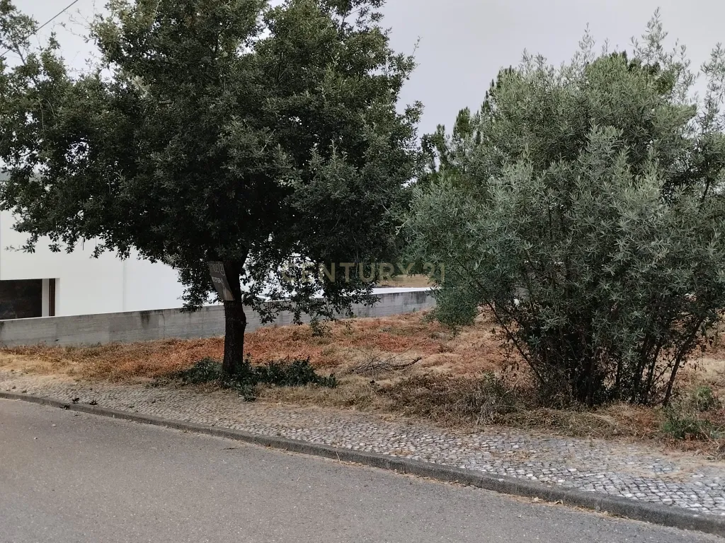 Lote para construção de moradia individual em Pombal - Image 2
