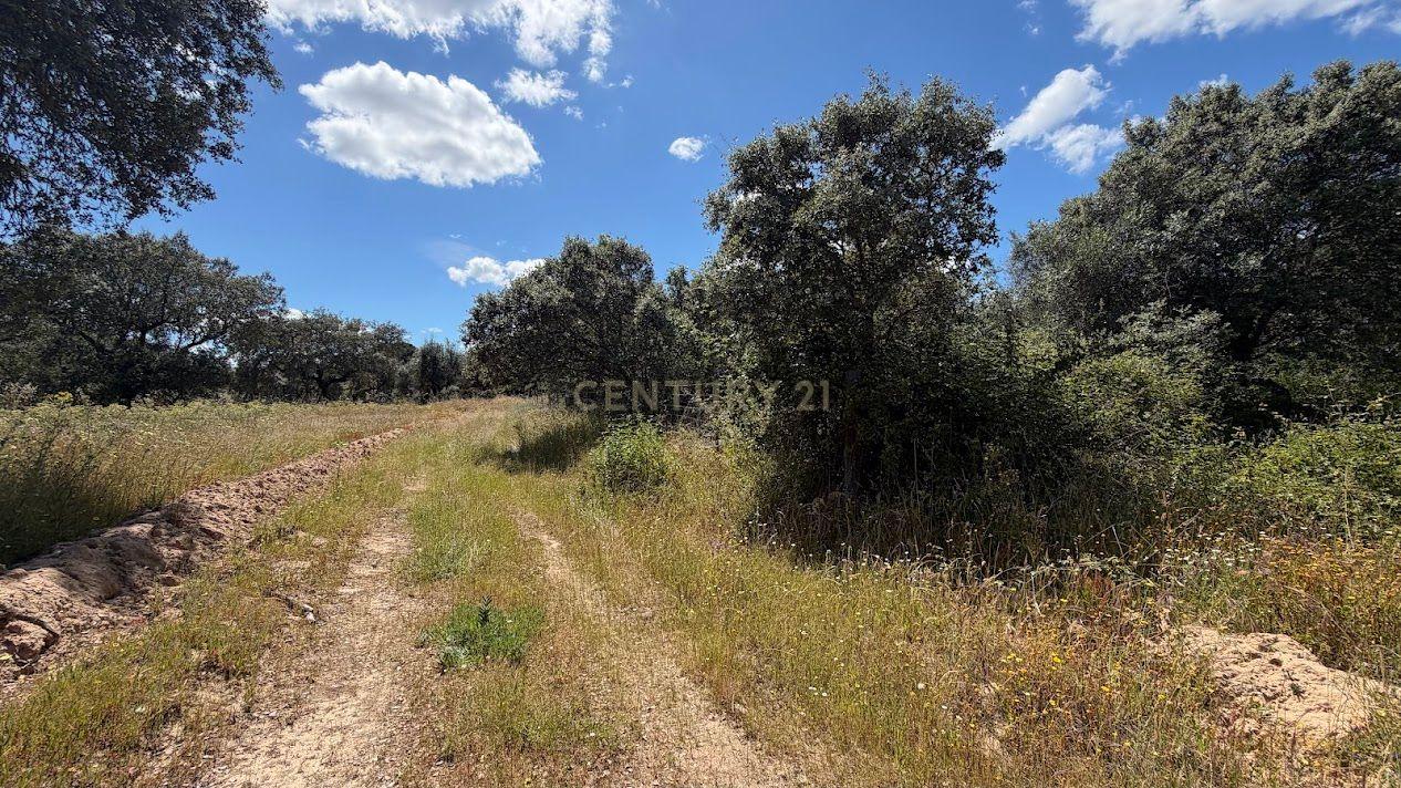 2 Moradias para recuperação - Flor da Rosa - Crato - Alentejo - View 5