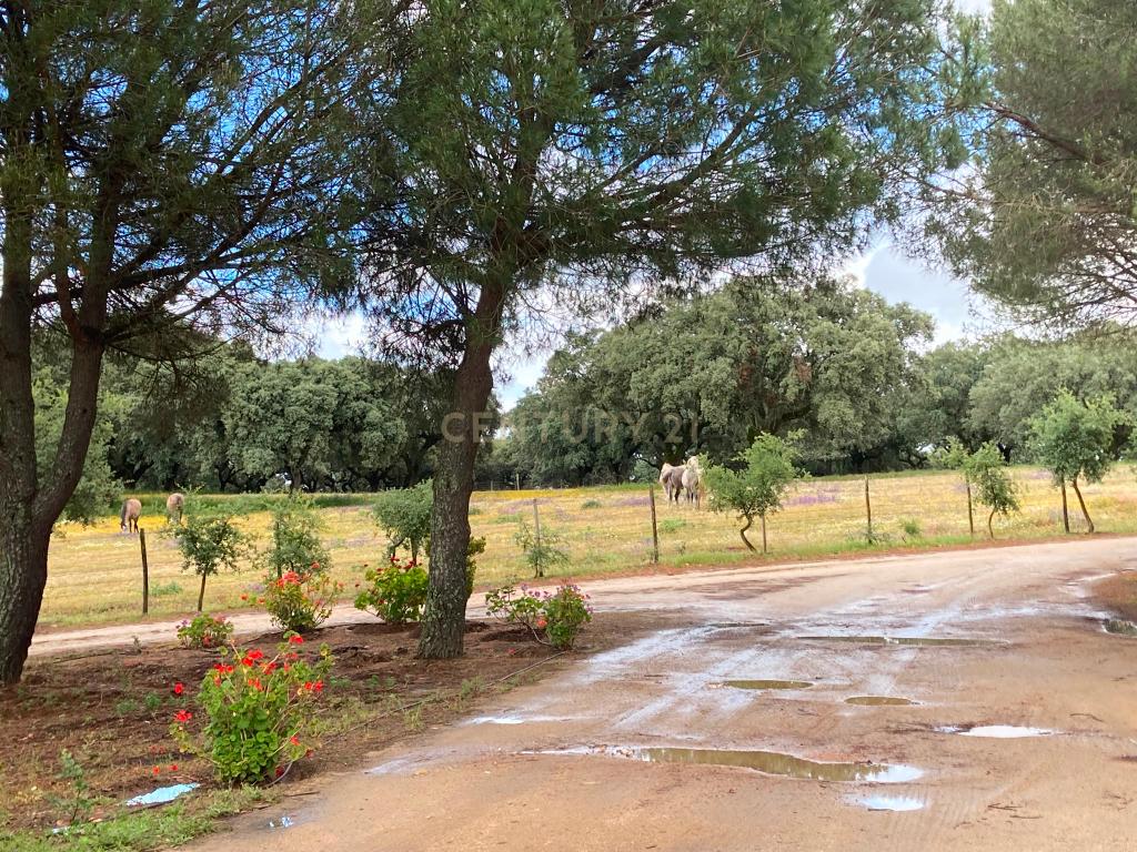 Herdade da Pedra Longa — Um Património Único no Coração do Alentejo - Image 50